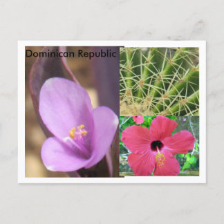 Dominikanska republiken vykort