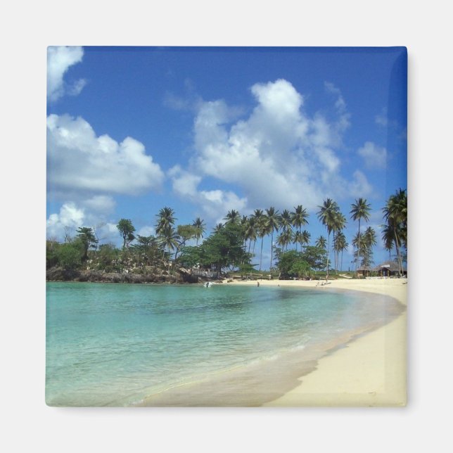 Dominikanska Republikens Strandmagnet Magnet (Framsidan)