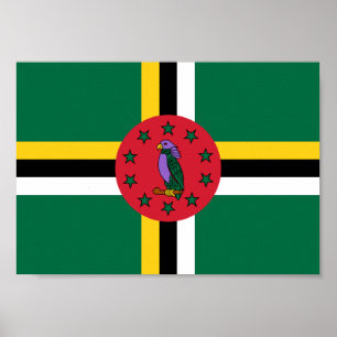 Dominikisk flagga poster