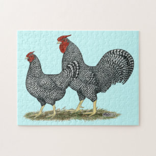 Dominique Chickens Pussel
