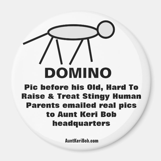 Domino Magnet (Framsidan)