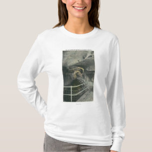 Domkyrkavalvgången beskådar av bassäng av Siloa Tee Shirt