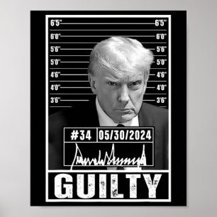Domstol Donald Trump Mugg Shot Jail Pict Poster