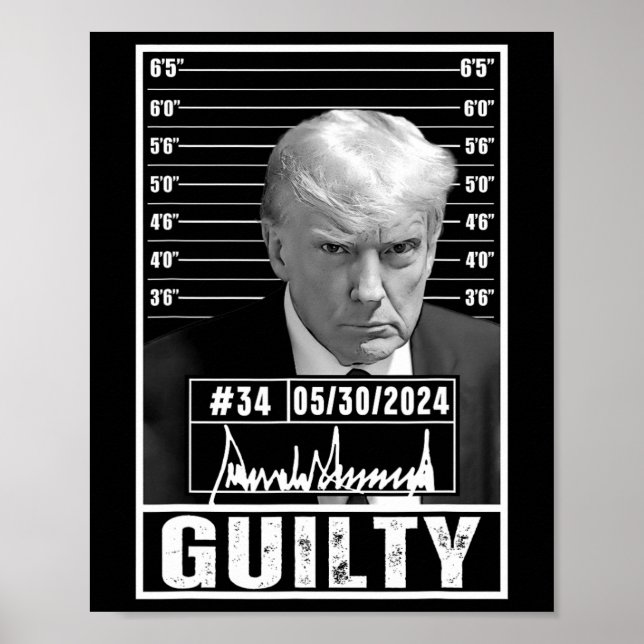 Domstol Donald Trump Mugg Shot Jail Pict Poster (Framsidan)