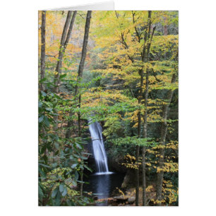 Domstol Falls Hälsningskort