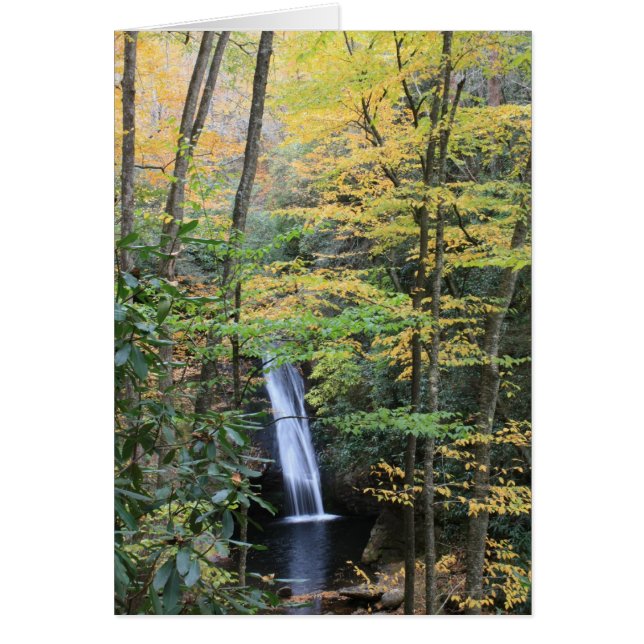 Domstol Falls Hälsningskort (Framsidan)