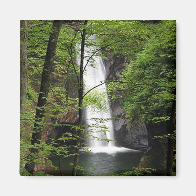 Domstol Falls Magnet (Framsidan)
