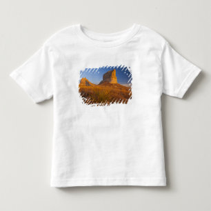 Domstol och Jailhouse Rock nära Bridgeport Tee