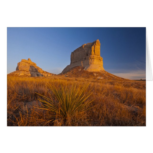 Domstol och Jailhouse Sten nära Bridgeport Hälsningskort (Framsidan Horizontal)