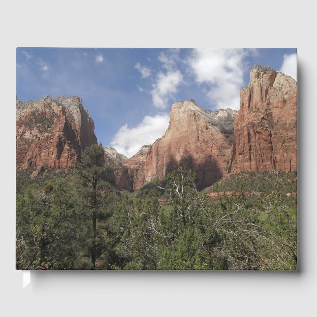 Domstolen för patriarker II i Zions nationalpark Gästböcker (Framsida)