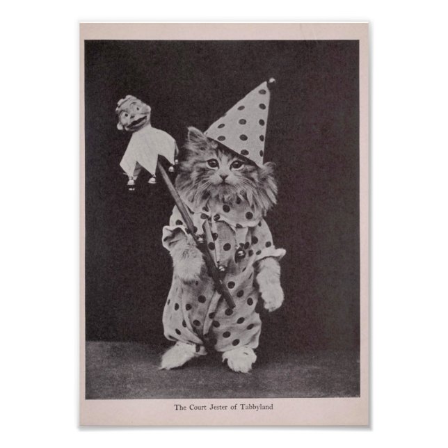 Domstolen Jester of Tabbyland Fototryck (Framsidan)
