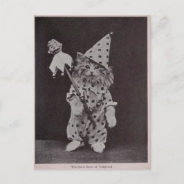 Domstolen Jester of Tabbyland Vykort