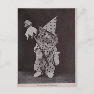 Domstolen Jester of Tabbyland Vykort