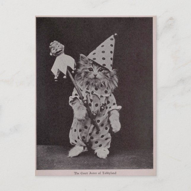 Domstolen Jester of Tabbyland Vykort (Framsida)