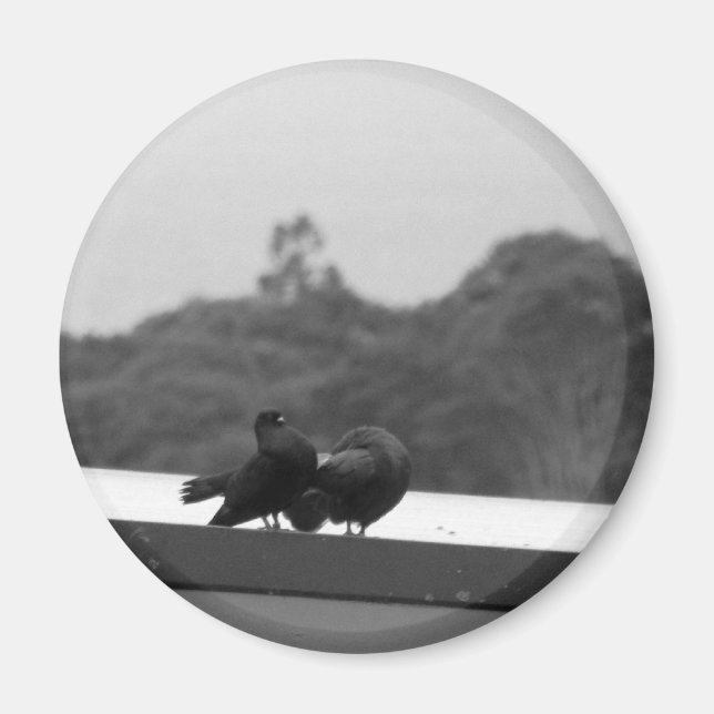 Domstolsgåvor Magnet (Framsidan)