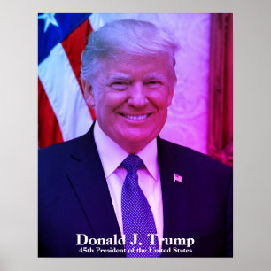 Donald J. Trump, 45:e presidenten i United Stater Poster