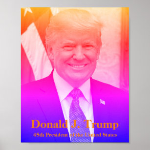 Donald J. Trump, USA:s 45:e president Poster