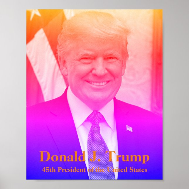 Donald J. Trump, USA:s 45:e president Poster (Framsidan)