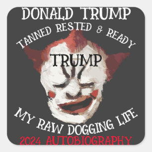 DONALD TRUMP 2024 SJÄLVBIOGRAFI ÄR UTE FYRKANTIGT KLISTERMÄRKE
