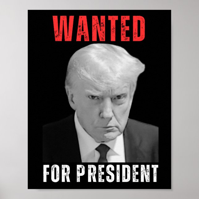 Donald Trump 2024 ville ha president Poster (Framsidan)
