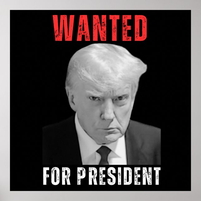 Donald Trump 2024 ville ha president Poster (Framsidan)