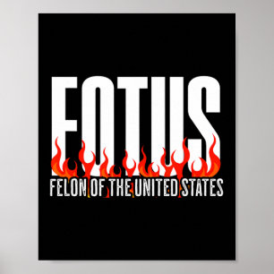 Donald Trump 47 Fotus Felon i Amerikas förenta sta Poster