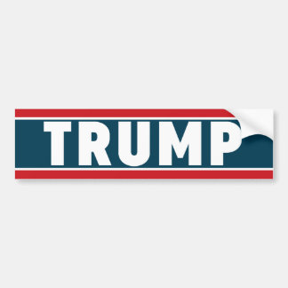 Donald Trump bildekal 2016