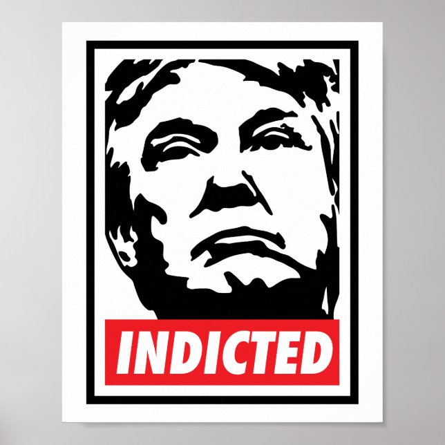 Donald Trump Indited 2023 Poster (Framsidan)