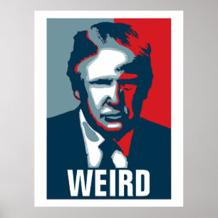 Donald Trump KONSTIG Poster