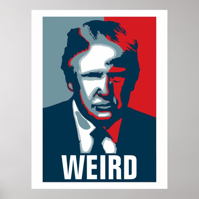Donald Trump KONSTIG Poster (Framsidan)