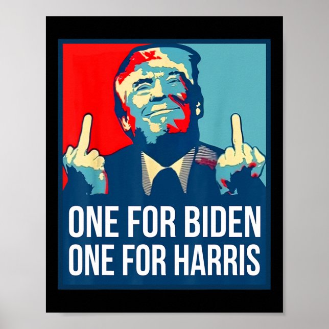 Donald Trump Mitten Finger Biden Harris America Re Poster (Framsidan)