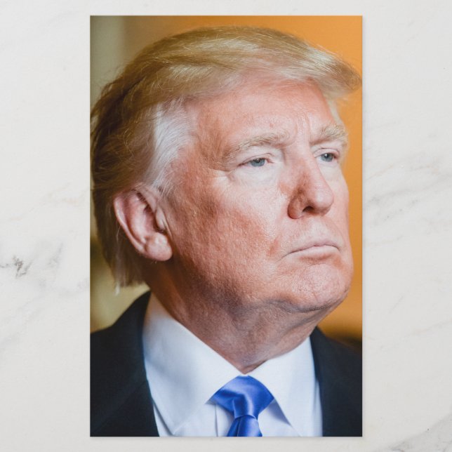 Donald Trump Porträtt Flygblad (Framsidan)