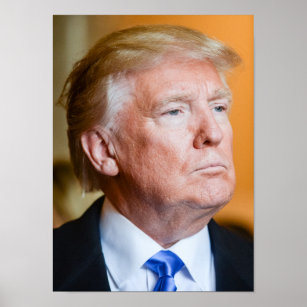 Donald Trump Porträtt Poster