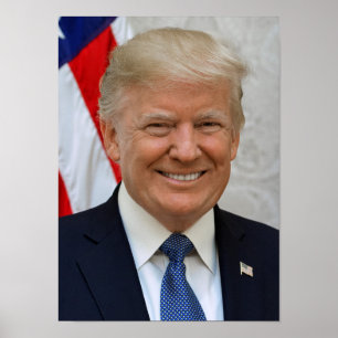 Donald Trump Poster