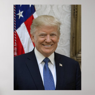 Donald Trump Presidenten Porträtt Poster