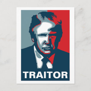 Donald Trump TRAITOR Vykort