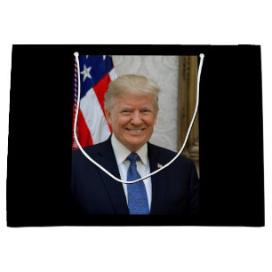 Donald Trump USA:s president White House MAGA 2024