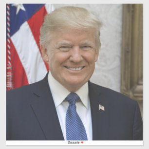 Donald Trump USA:s president White House MAGA 2024 Klistermärken