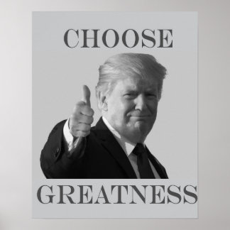 Donald Trump Välj storhet Poster