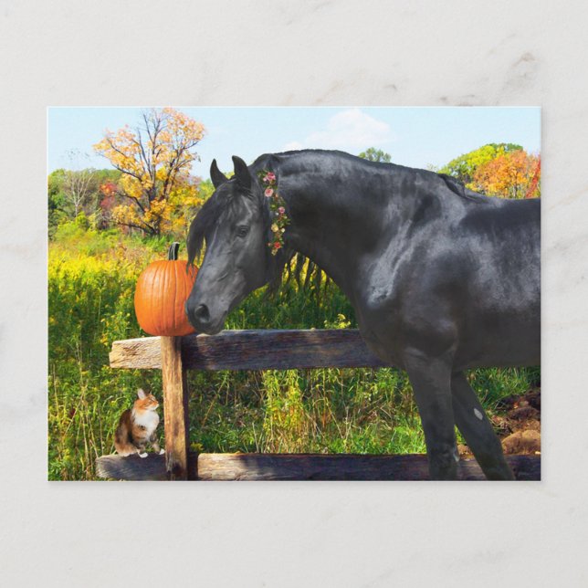 "Donatella" vykort (Framsida)