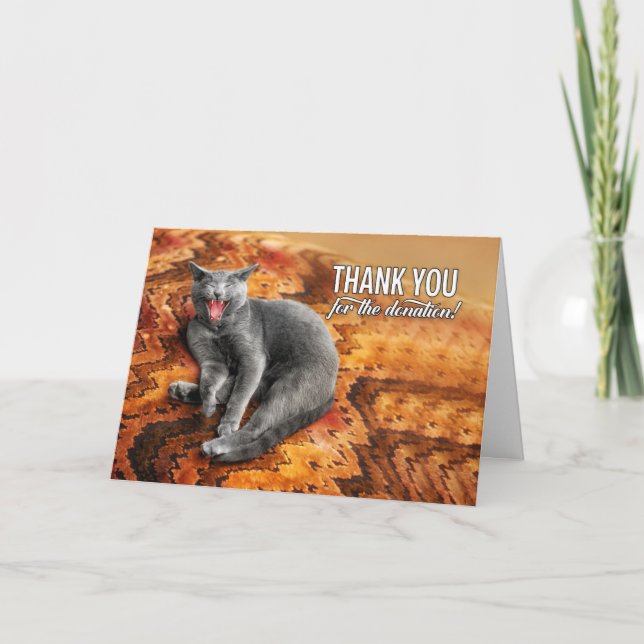 Donation Grått Cat på en Pillow Donor Tack Kort (Framsida)