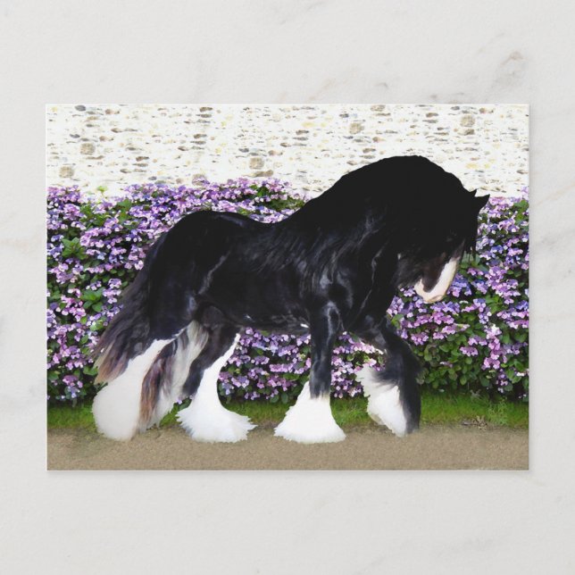 "Donegal" vykort (Framsida)