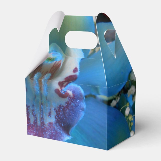 Donella Presentaskar (Framsidan Sidan)