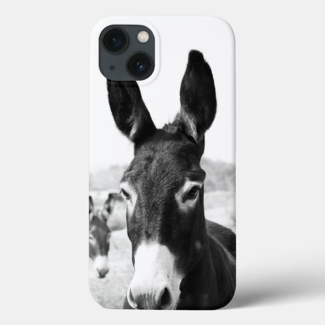 Donkey (Baksida)