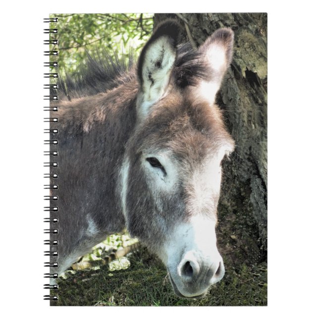 DONKEY ANTECKNINGSBOK (Framsidan)
