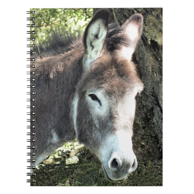 DONKEY ANTECKNINGSBOK (Framsidan)