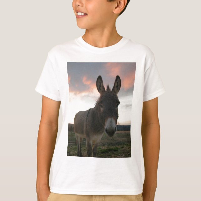 Donkey Art T-shirt (Framsida)