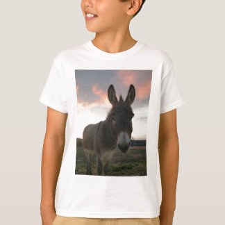 Donkey Art Tröja