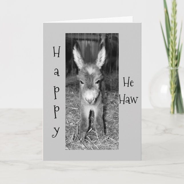 DONKEY BABY SÄGER LYCKLIG "HAN HAW" BIRTHDAG TILL  KORT (Framsida)