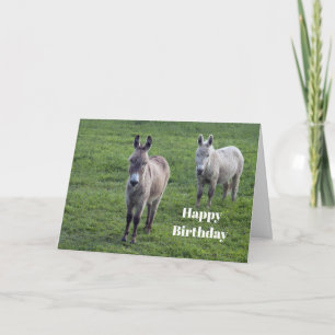 Donkey Brown Tan Animal Photo Birthday Kort
